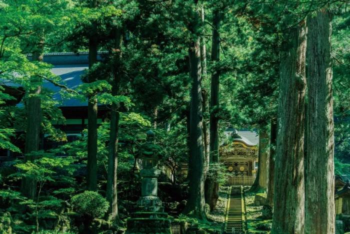 隱於山林秘境的永平寺