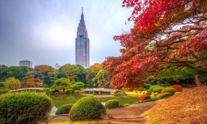 箱根溫泉